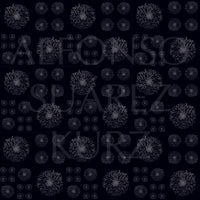 a black background with the words'alfonso suarez kurz'