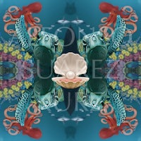 an octopus with a shell and octopus on a blue background