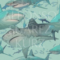 a group of sharks with the words adonis squarez kurz