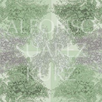 a green and white pattern with the words alfonso sarz kurz
