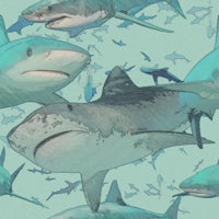 sharks on a blue background